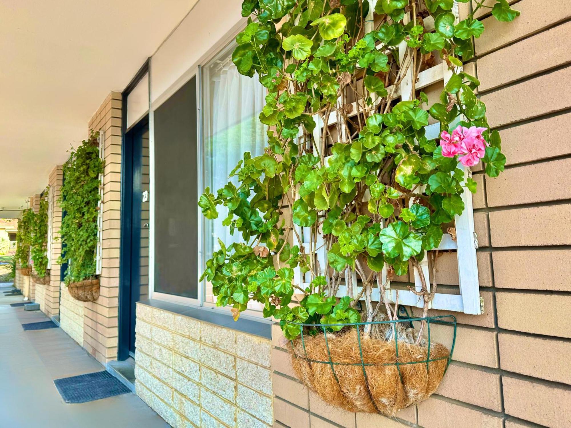 Flag Motor Lodge Perth Ngoại thất bức ảnh
